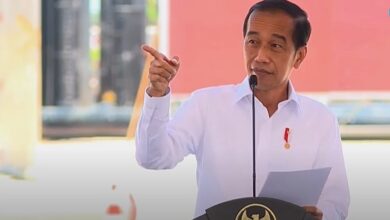 Jokowi Ingin RI Nikmati Hasil Smelter Freeport di Gresik