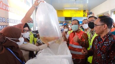 Andi Sudirman Lepas Ekspor Perikanan Langsung dari Bandara Sulhas ke Hongkong