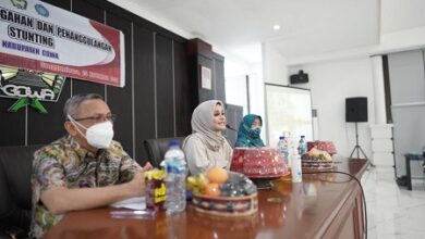 Priska Adnan Harap Kader Posyandu Pahami dan Mampu Cegah Stunting