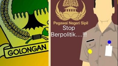 Pensiun Akhir Desember, Kadis Pertanian Bone Sudah Masuk Pengurus DPD Golkar Bone