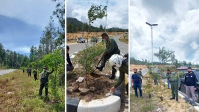 Hijaukan Toraja, 5 Ribu Pohon Ditanam di Kawasan Bandara Buntu Kunik