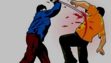 Karena Buah Jagung Di Makan Sapi, Ali Tombak Sukri Hingga Tewas