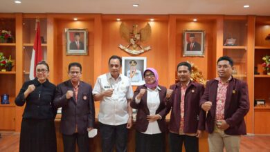 Wagub Sulteng Drs. Mamun Amir Menerima Kunjungan Ketua PPNI-ST