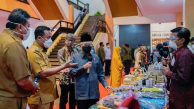 Wapres K.H. Ma’ruf Amin, Akui Peran Penting Pemprov Sulsel Dalam Pengembangan UMKM