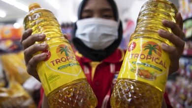 Distributor Tunggu Pasokan Minyak Goreng dari Produsen, Disdag Sulsel : Kita Terus Pantau