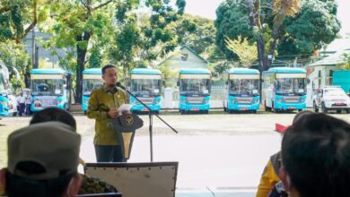 Diinisiasi Gubernur Andi Sudirman, Mahasiswa Merasa Terbantu Hadirnya Layanan Mudik Gratis