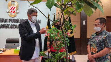 Kado Pohon Hiasi Syukuran Ultah Doni Monardo