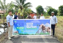 Idul Adha Penuh Makna, Huabao Indonesia Bagikan 17 Sapi Kurban ke Warga Sekitar Industri